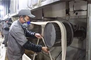 創(chuàng)新驅(qū)動(dòng)，綠色賦能——阿拉爾中泰紡織科技公司毛型纖維新產(chǎn)品成功下線