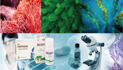 2020海博會 開啟通往“藍(lán)色藥庫”的生物科技新篇章